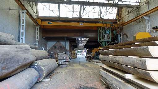 Bild 5: Baumstmme aus aller Welt warten auf Kunden. Foto: IFN/D. Stoverock